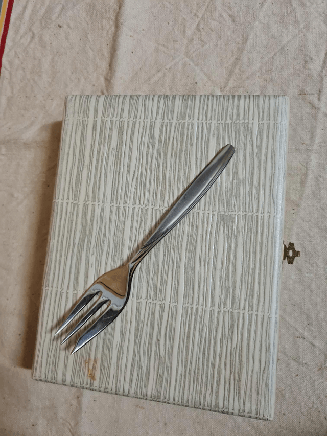 12 fourchettes a dessert inox